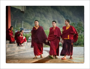 Monk Friends - Neydo Monastery Nepal
